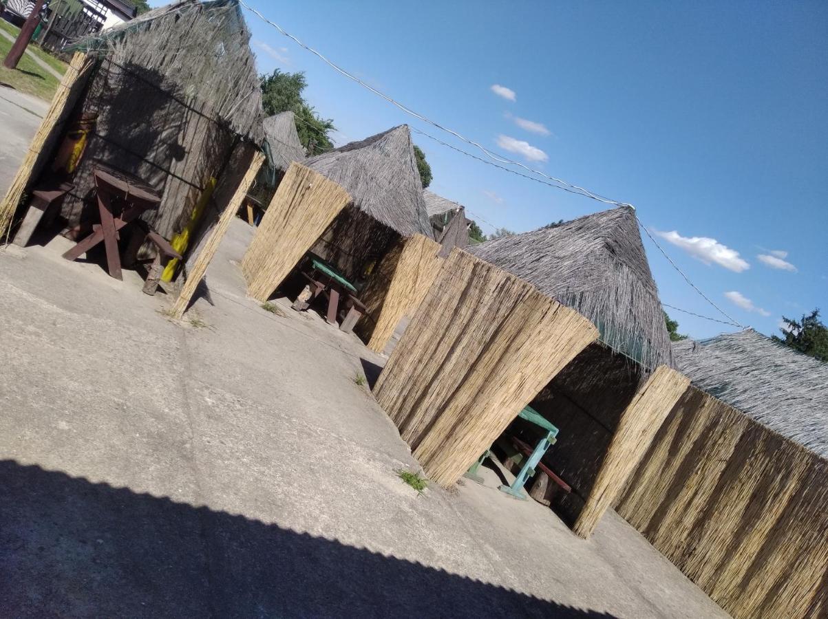 Domki Pod Lasem Płońsk Buitenkant foto